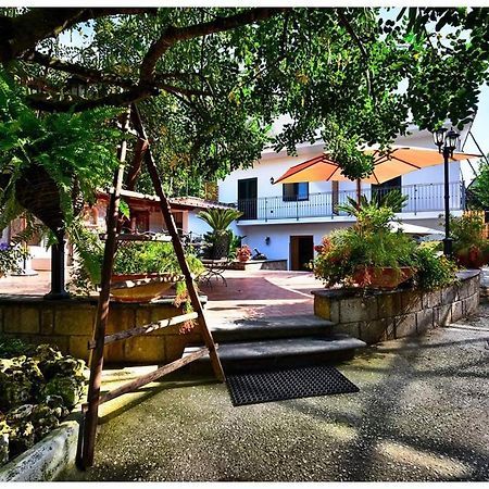 Soso Bed & Breakfast Соренто Екстериор снимка